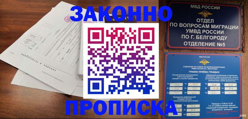 прописка в Дорогобуже